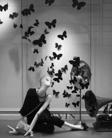 Lanvin-butterflies-windows-Paris